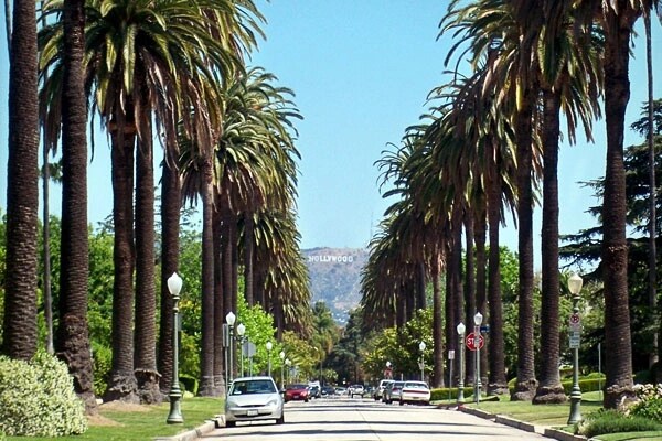 Foto del edificio - 2268 N Beachwood Dr