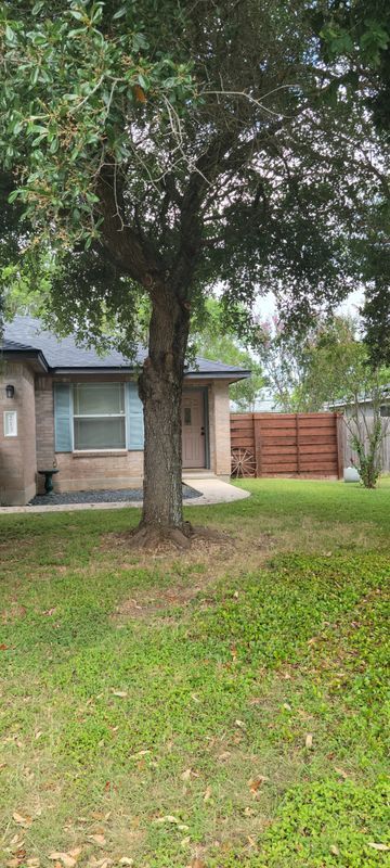 Foto del edificio - 213 Fall Creek Dr