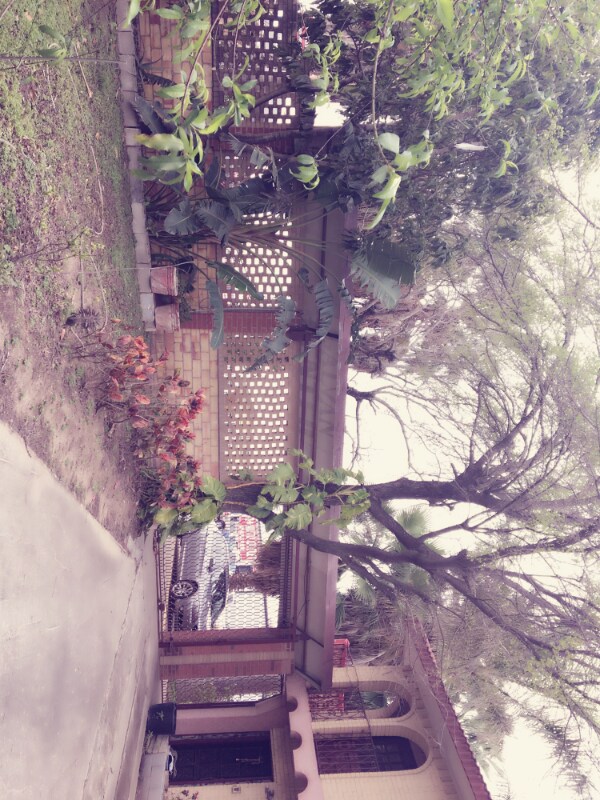 Building Photo - 100 N Palm Dr