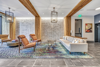 Interior Photo - Olive & Wooster
