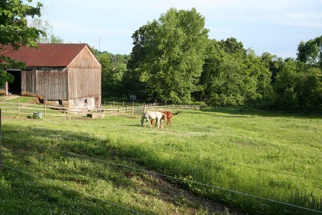 Foto del edificio - 202 Millersdale Rd