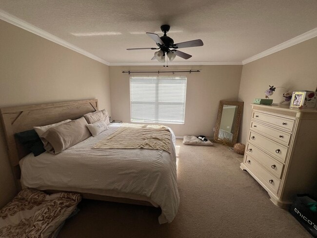 Photo - 3778 Collingwood Ln Townhome