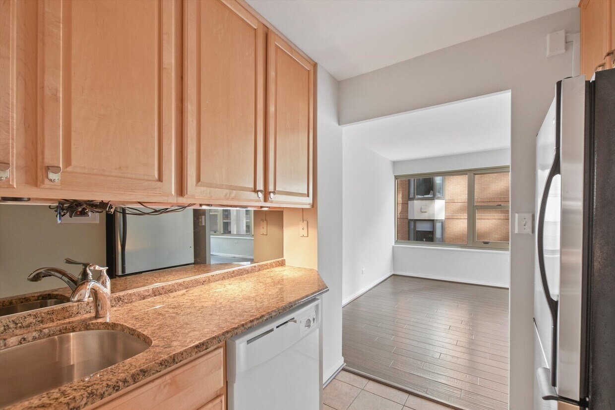 247 E Chestnut St Unit 0504, Chicago, IL 60611 Condo for Rent in