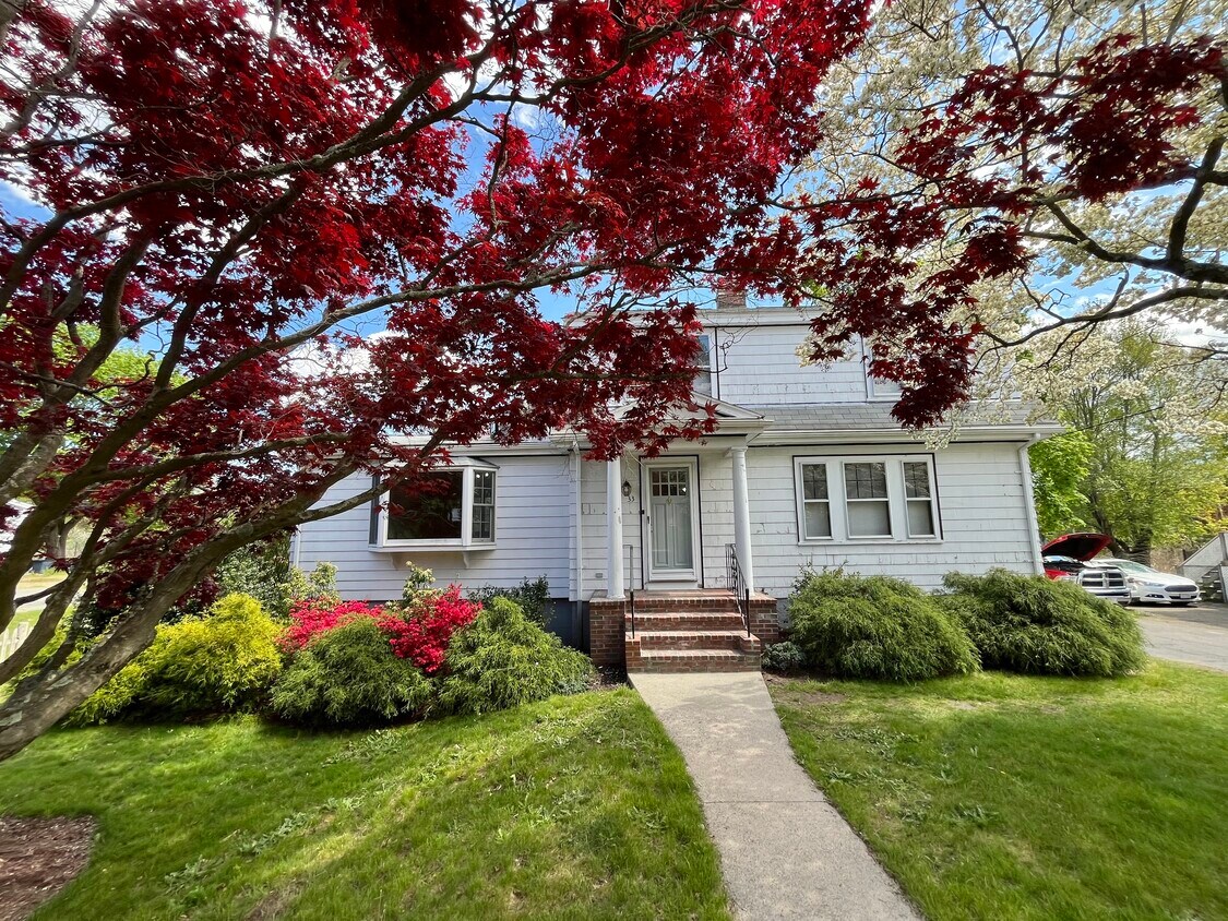 Primary Photo - 33 Weymouth St