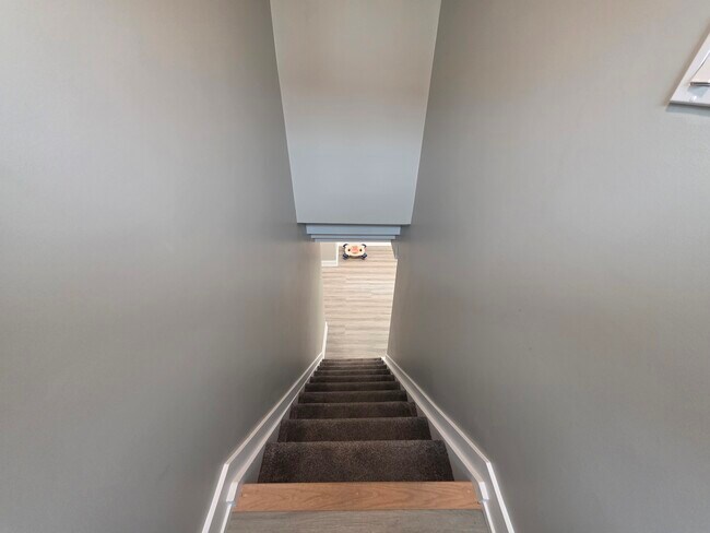 Building Photo - Never-Lived-In, Fully Renovated Lower-Leve...