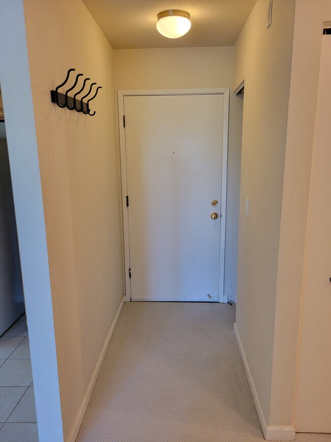 Entry - 240 N Bayshore Blvd