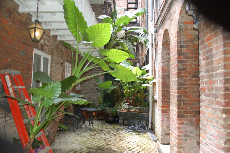 Foto del edificio - 514 Madison St