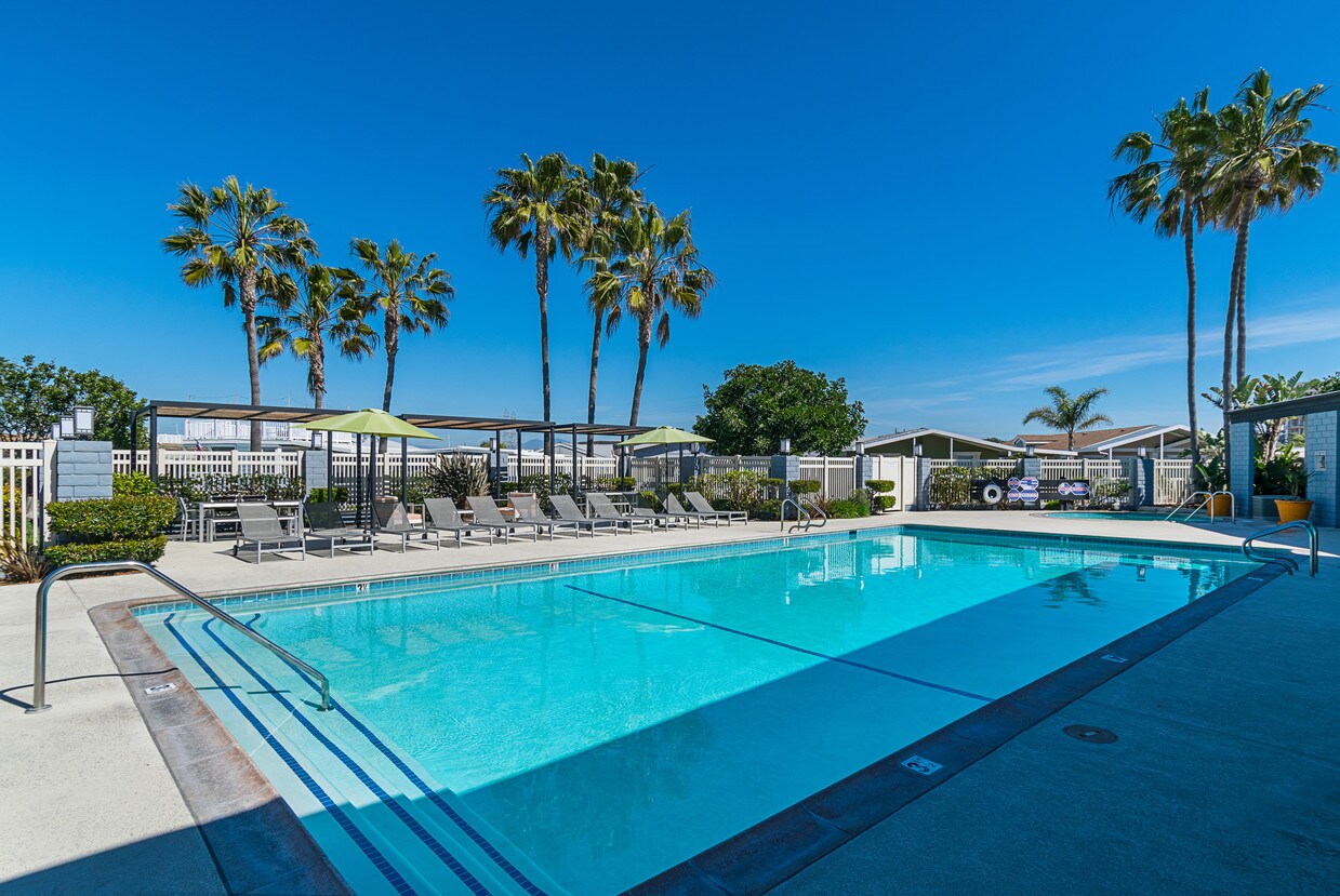 Pet Friendly Rentals In Huntington Beach Ca Pet Friendly Rentals In Huntington Beach Ca