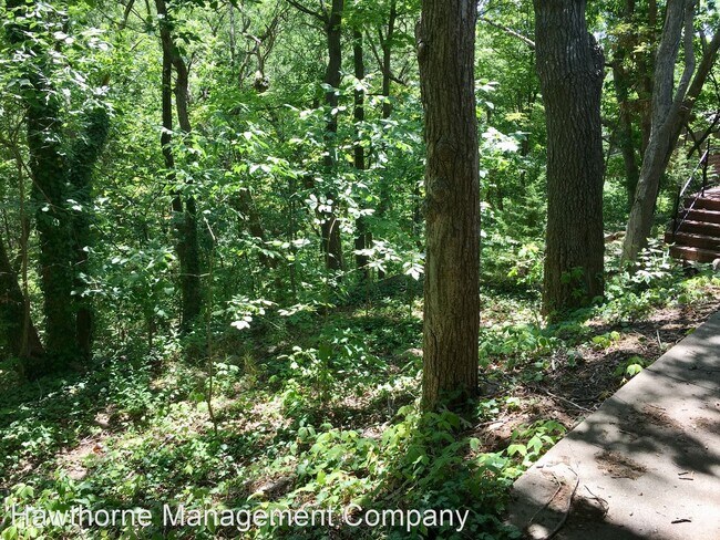 Foto del edificio - 4 br, 3 bath House - 1106 Maplewood Drive