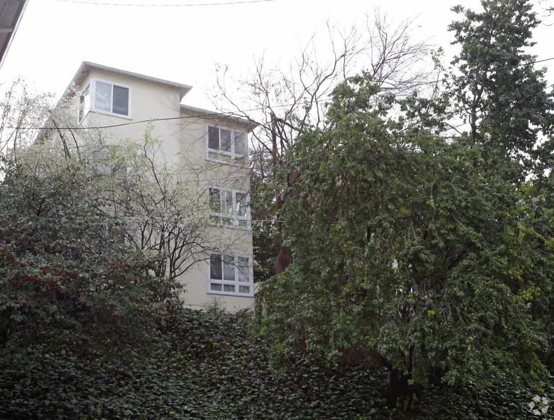 Building Photo - Ivy Drive Apartments