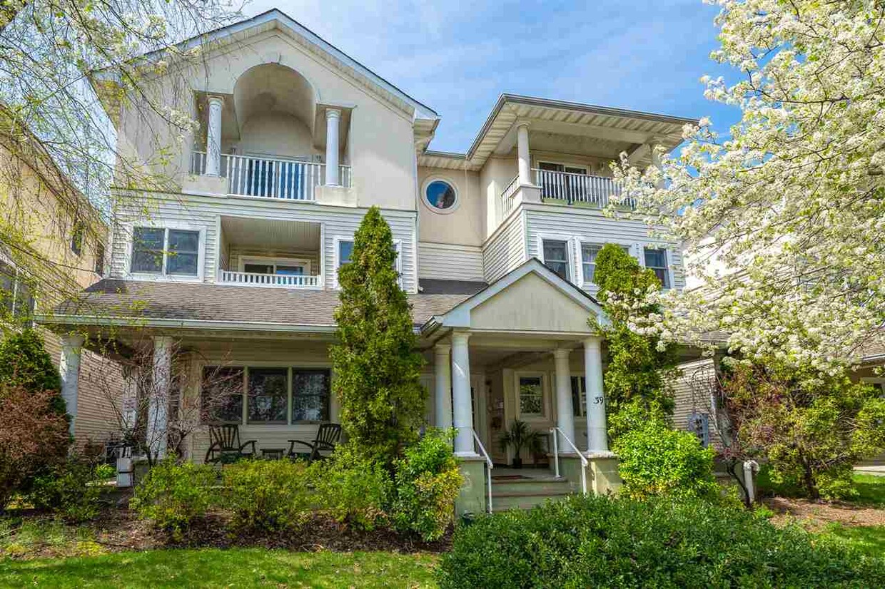 Primary Photo - 37 Hamilton Ave