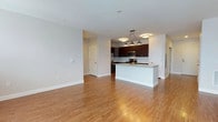 This 1-bedroom plus den, 1-bathroom residence is designed with a thoughtful open-concept layout that maximizes both functionality and flow. Rich hardwood flooring extends throughout the main living areas, lending warmth and a polished aesthetic to the space.

The kitchen serves as a central hub, featuring dark espresso cabinetry, stainless steel appliances including a microwave and refrigerator, and a peninsula with a light stone countertop. Pendant lighting above the peninsula provides focused illumination while adding a contemporary design touch, making the space well-suited for both meal preparation and casual dining.

The open living area is generously proportioned, bathed in natural light from a large window that brightens the neutral-toned walls and enhances the airy atmosphere. The clean white walls and bright trim create a crisp, move-in-ready feel throughout.

The bedroom and den offer flexible space for sleeping, working from home, or additional living needs. The den, accessible via a door with glass panel detailing, adds versatility to the overall floor plan.

Additional features include ample closet storage, recessed and ceiling-mounted lighting, and clean white panel doors with modern hardware. The single-floor layout ensures easy accessibility and a cohesive living experience throughout the residence.