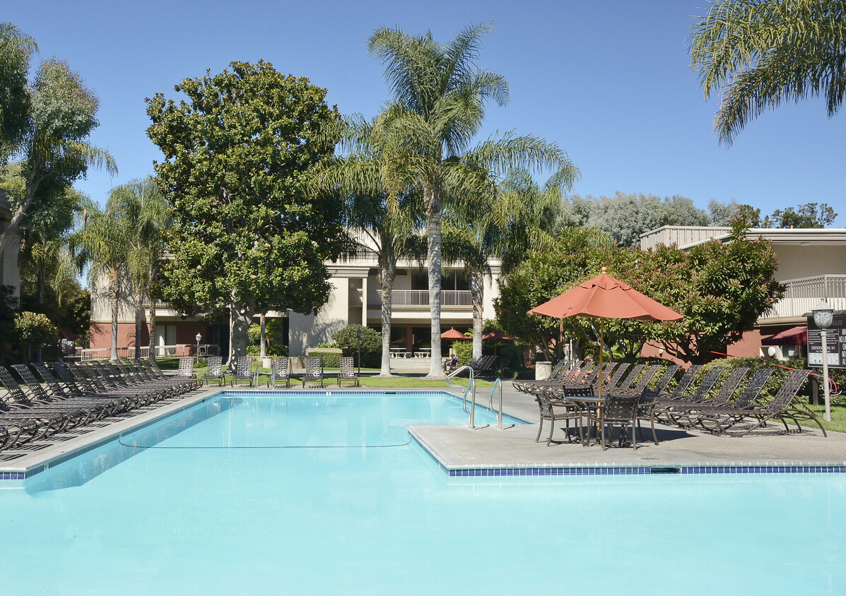 Pool and sundeck - eaves West Valley