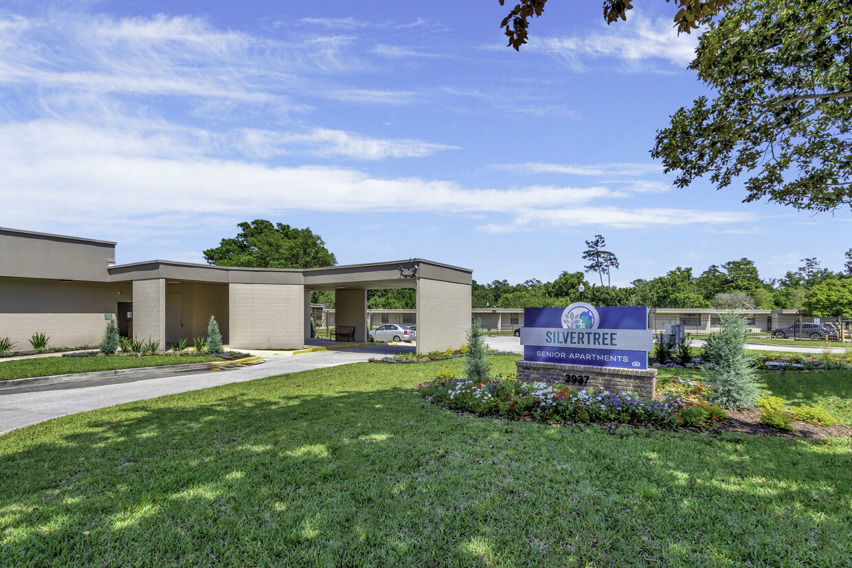 Primary Photo - Silvertree Seniors Jacksonville