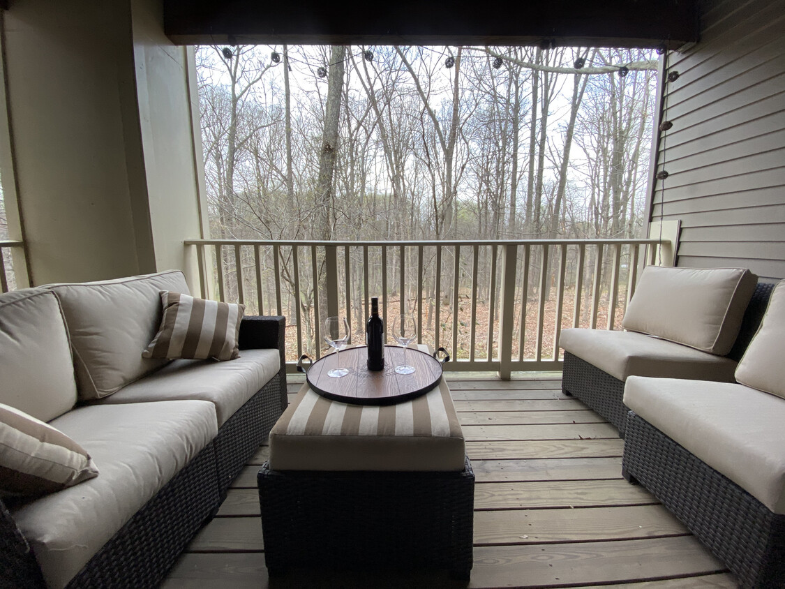 Private Secluded Balcony Overlooking Protected Woods - 131 Timberbrook Ln