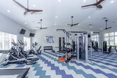 This fitness center offers a comprehensive workout environment designed to accommodate a wide range of exercise routines. The space is organized into distinct workout zones, beginning with a dedicated cardio area featuring a row of treadmills positioned in front of expansive windows that flood the room with natural light and provide open views of the surrounding neighborhood. Multiple wall-mounted flat-screen televisions are positioned throughout for entertainment during workouts.

The strength and cross-training zone is equipped with elliptical machines, a stationary recumbent bike, and a cable weight machine, complemented by a dumbbell rack stocked with a full range of free weights and a weight bench. A large wall mirror enhances the sense of space and allows for proper form checks during strength training.

The room features vaulted ceilings with recessed lighting and ceiling fans, contributing to an airy and comfortable atmosphere. The striking blue, teal, and white chevron-patterned carpet adds a vibrant, modern aesthetic to the space. Neutral gray walls and white horizontal blinds on all windows tie the design together, creating a clean and energizing environment. The layout is thoughtfully spacious, allowing ample room to move freely between equipment stations.