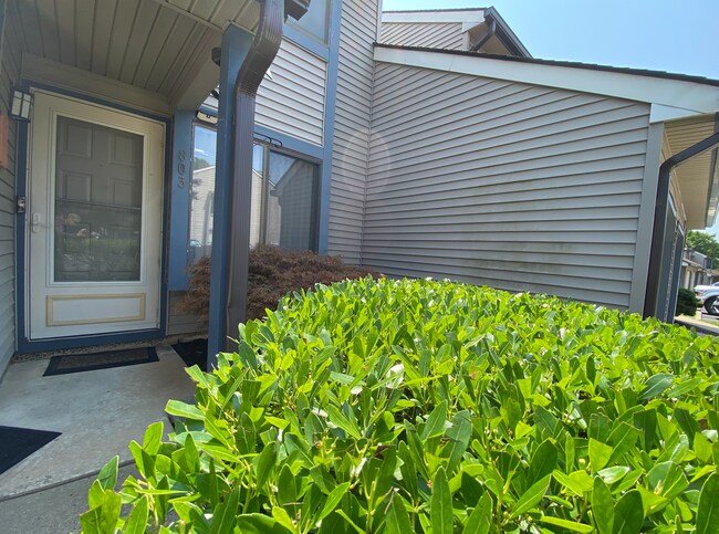 Building Photo - 803 Chesterwood Ct