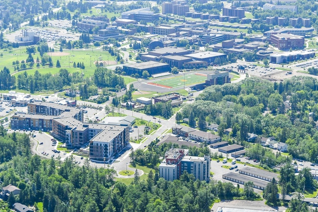 Aerial Shot of the Neighborhood - Mount Royal Manor