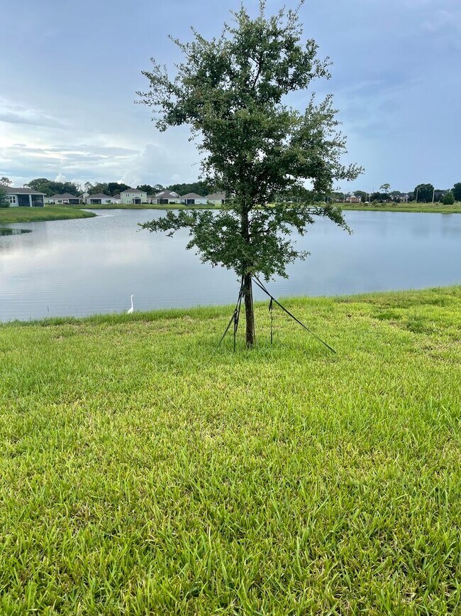 Building Photo - Stunning 4-Bedroom Home in Mill Creek with...