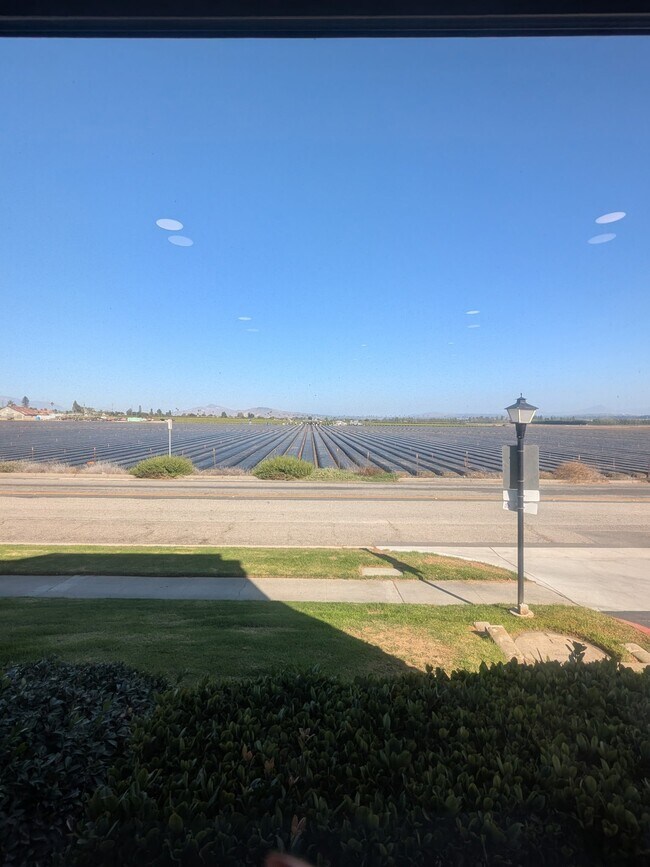 Foto del edificio - 1301 Iguana Cir