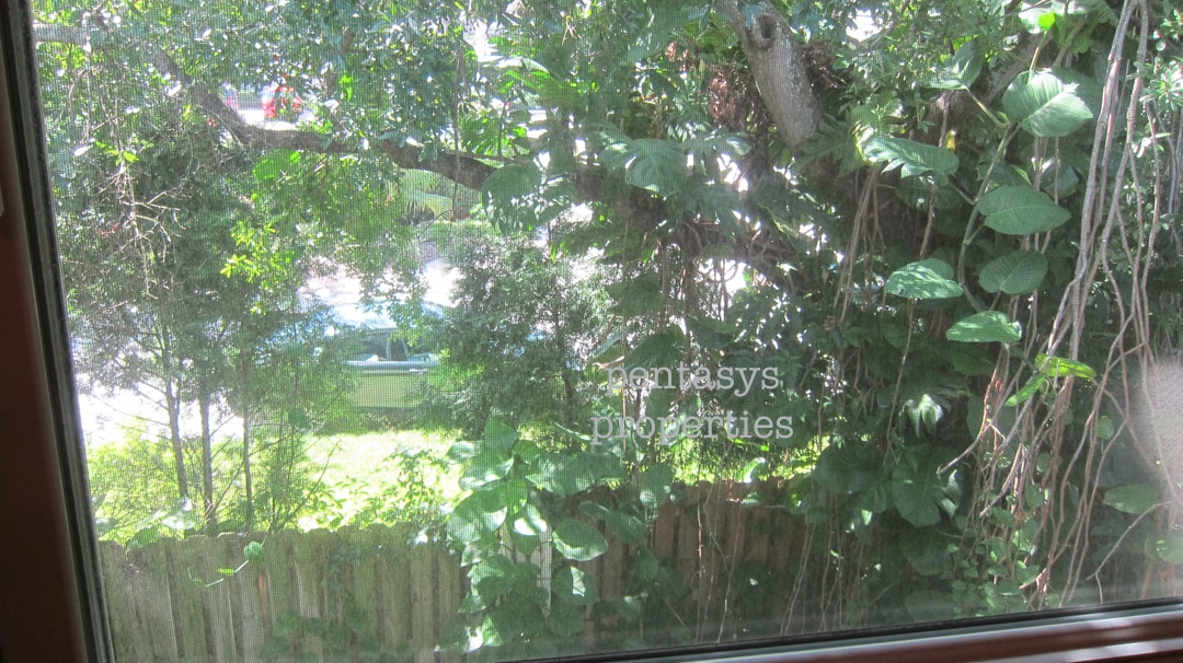 view from bedroom - 3105 W Horatio St