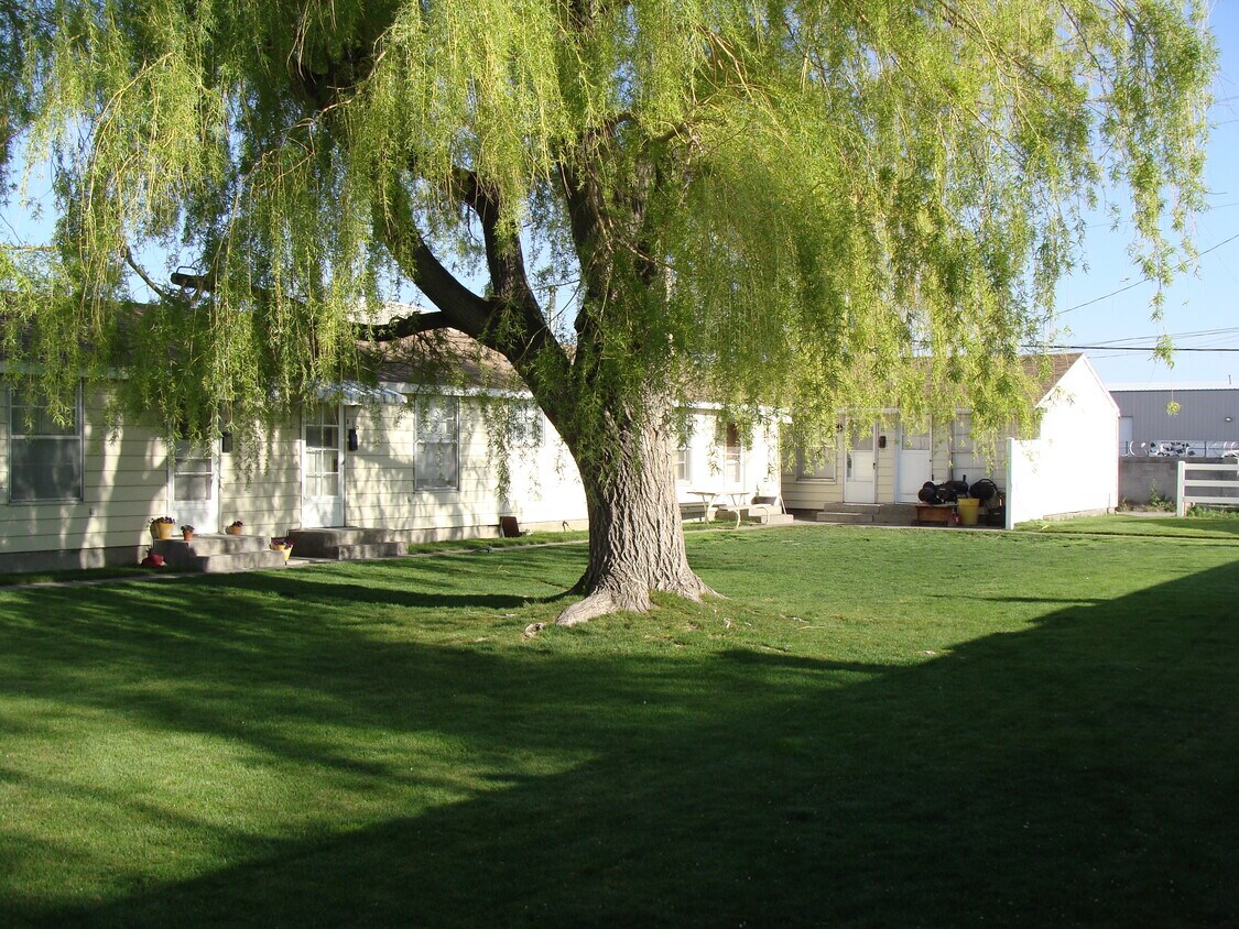 Court yard - 550 W 21st St