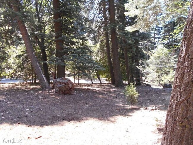 Building Photo - 2 br, 1 bath House - 27949 Squirrel Ln,
