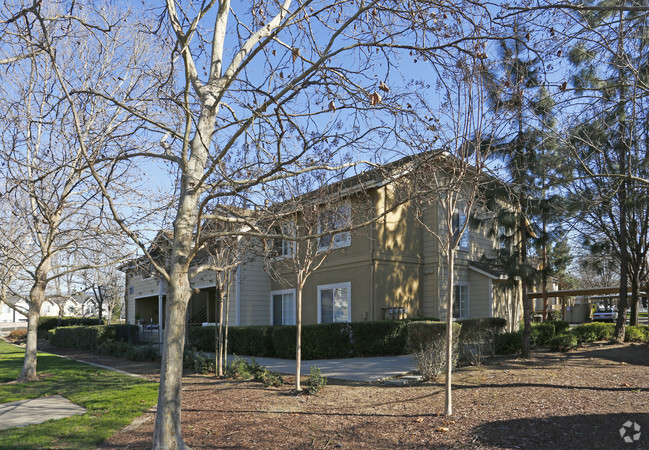 Foto del edificio - Terracina at Morgan Hill