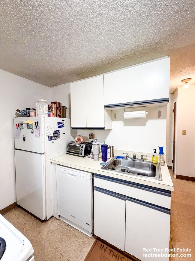 Fregadero de cocina, nevera y lavavajillas. - 21 Kinross Rd
