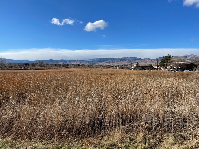 Building Photo - Cozy Condo with Lake Views in GunBarrel
