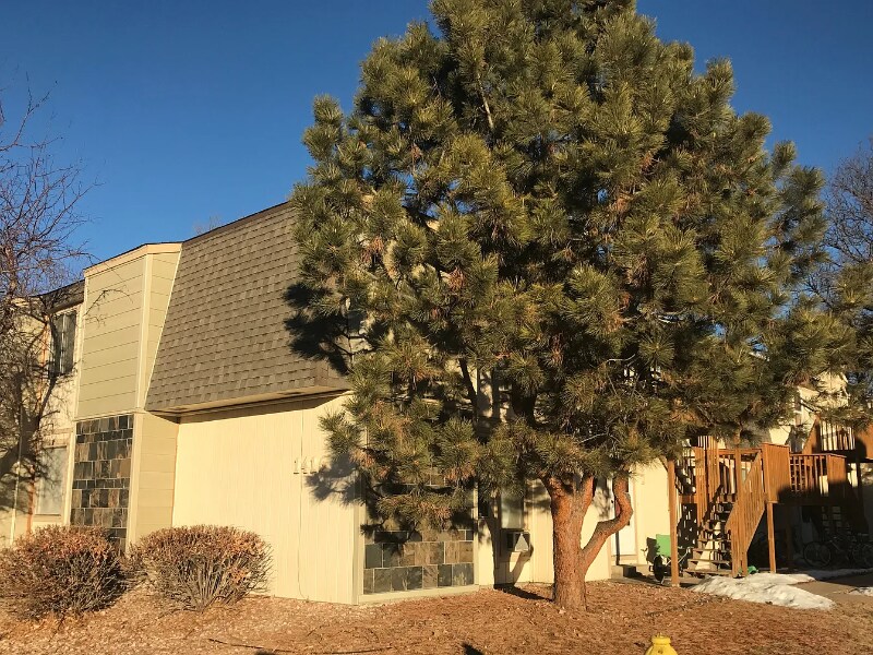 Foto principal - 1420 Birch St