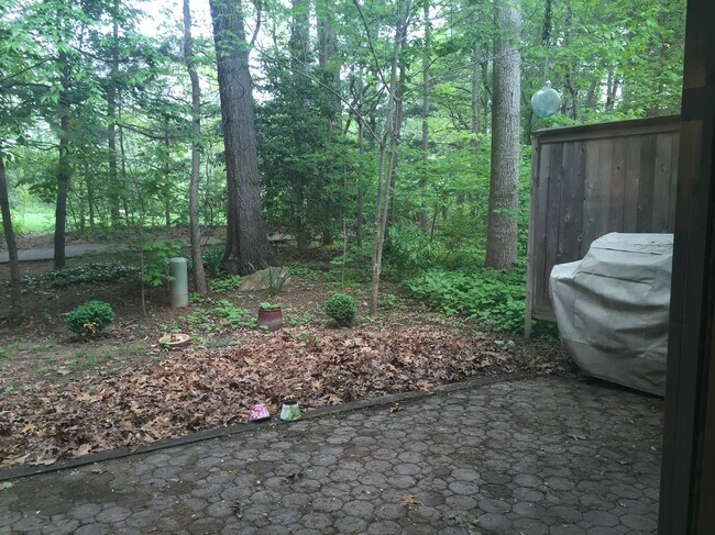 backyard1 - 1904 Winterport Cluster