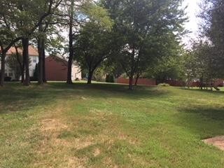 Building Photo - 1173 Olde Cameron Ln