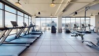 Located at 109 E Wilson St in downtown Madison, Wisconsin, this single-floor fitness center offers a spacious and thoughtfully designed exercise environment. The facility is organized into distinct zones to accommodate a wide range of workout needs. The cardio area features a lineup of TRUE treadmills, stair climbers, ellipticals, and stationary bikes — including Peloton spin bikes — all positioned along expansive floor-to-ceiling windows that flood the space with natural light and provide striking views of the Madison skyline and the iconic Wisconsin State Capitol dome. The strength training area is well-appointed with Hoist cable machines, power racks, adjustable benches, free weights, and a variety of selectorized machines, all set on durable rubber flooring. Full-length mirrors line one wall, enhancing the sense of openness. The industrial-modern aesthetic is reinforced by exposed ductwork and piping along the ceiling, complemented by warm pendant lighting that adds character to the space. The layout flows openly across the entire floor, with wide clearance between equipment allowing for comfortable movement and use throughout the facility.