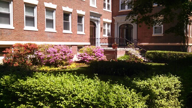 Foto del edificio - 51 Manchester Rd