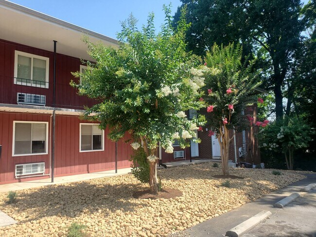 Foto del edificio - "Bright & Spacious 1BR/1BA with Open Conce...