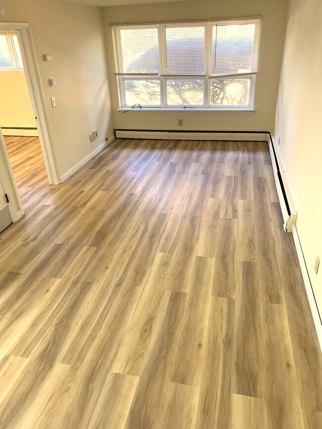 Renovated 1Bedrm - 405 Palomino Ln