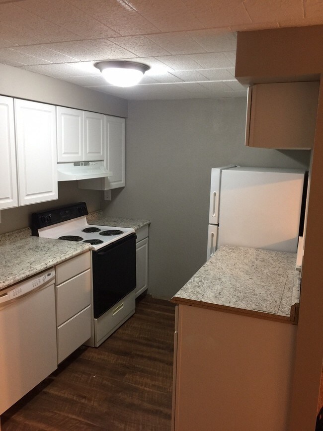 NEW KITCHEN CABINETS,COUNTER, FLOOR - 27301 Evergreen Run