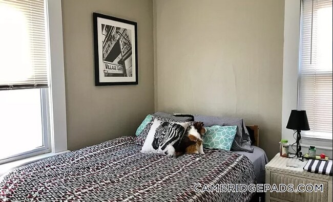 Foto del edificio - 359 Windsor St