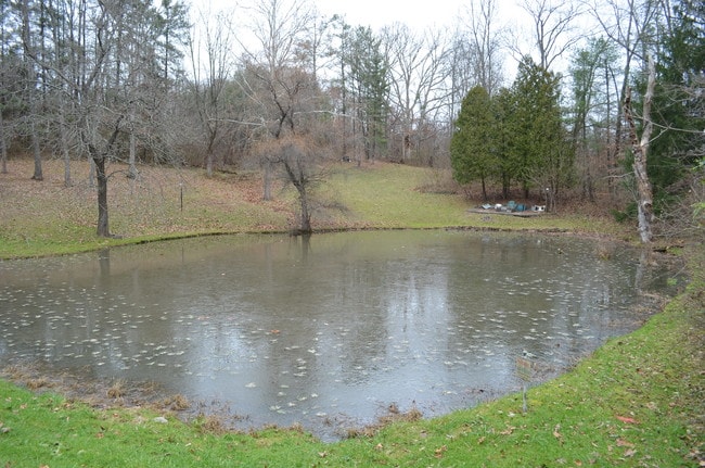 Building Photo - 19 E Clearview Dr