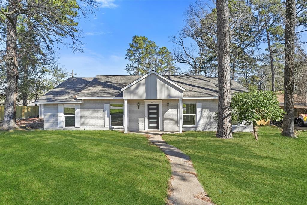 Foto principal - 205 Elmwood St