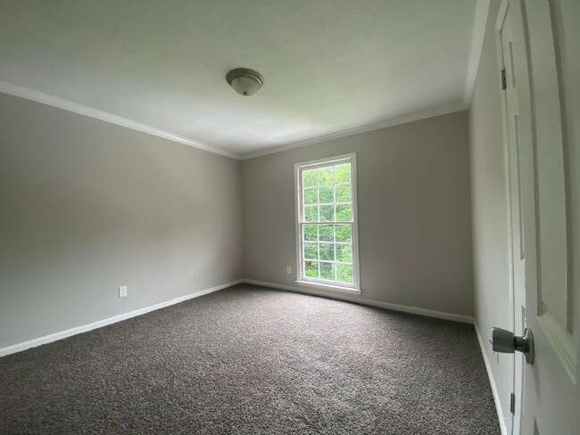Building Photo - 1509 Pine Tree Dr