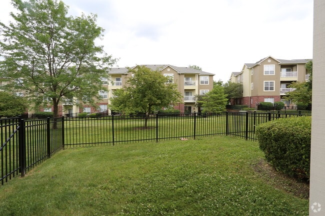 Fenced Yard - River Oaks
