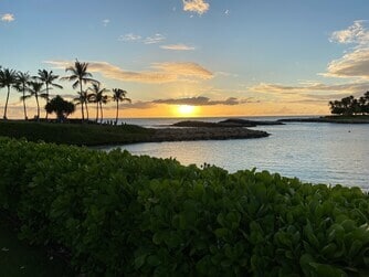 Building Photo - 1102-1102 Olani St