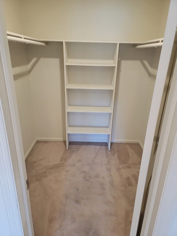 Building Photo - Spacious Pelham Studio near rain & town $1700