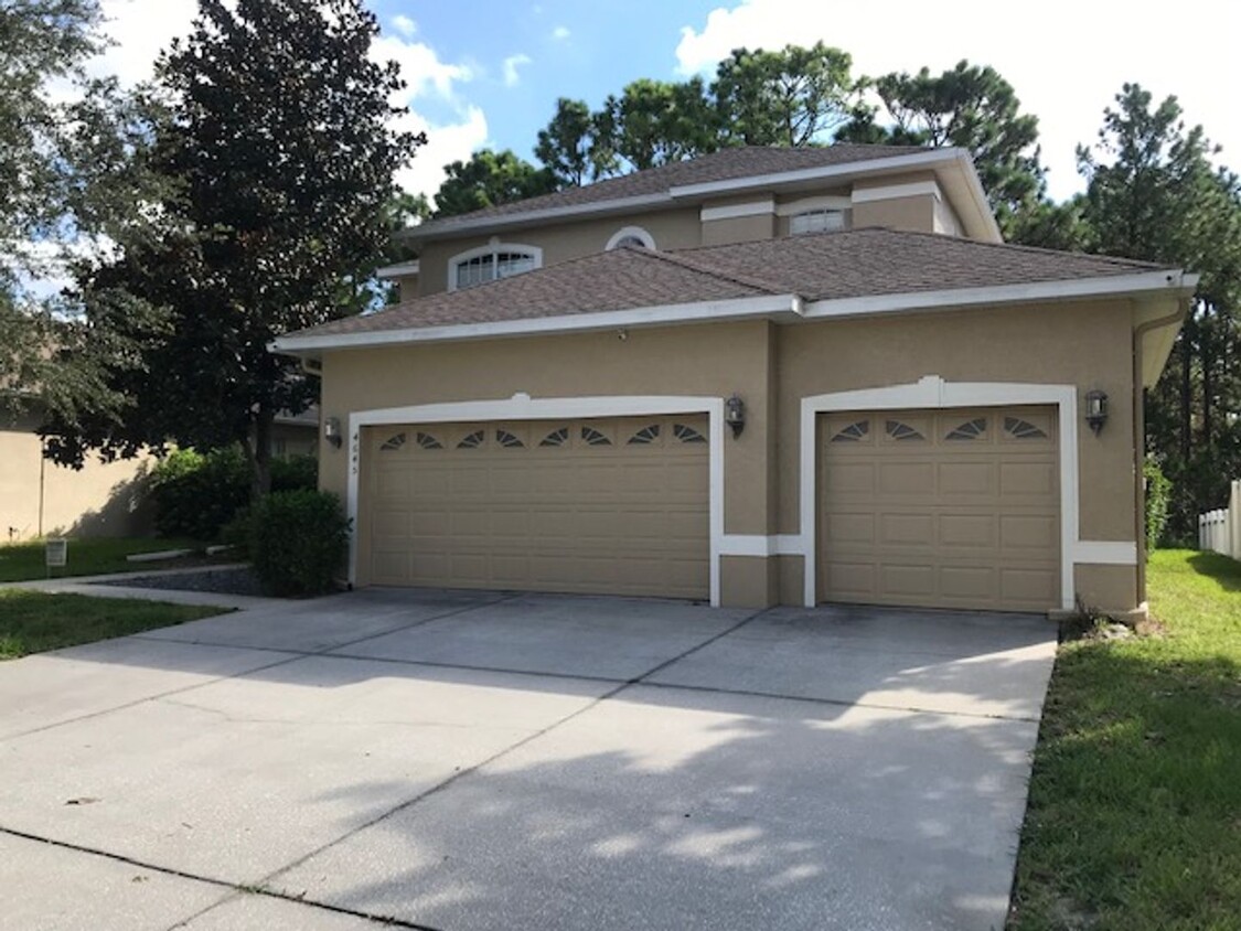 Primary Photo - Executive Home in Sterling Hills