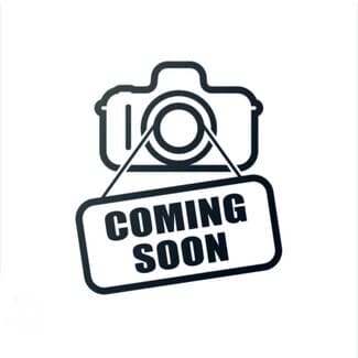 Building Photo - 1308 Brighton Dr