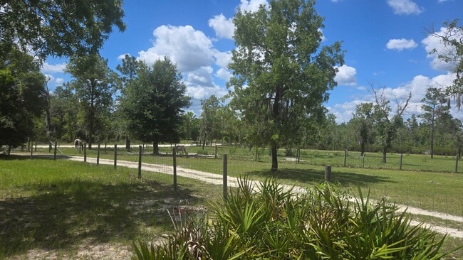 Building Photo - 4BR/3BA home on 3.5 acres of open land wit...