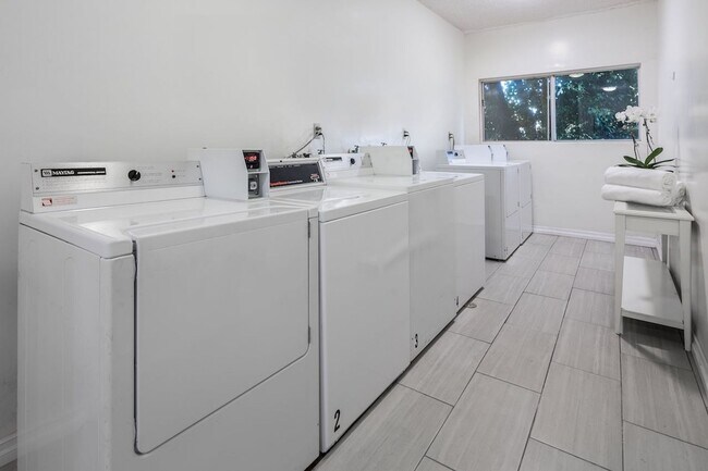 Foto del interior - LE Cove