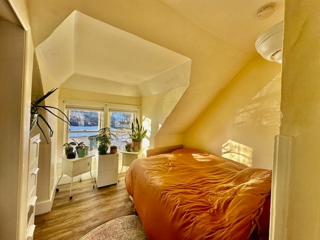 El cálido sol de la tarde ilumina el dormitorio. Persianas opacas para un sueño reparador. - 302 Van Deusen St